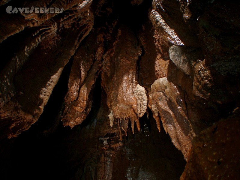 Ozka Jama: Der mutige CaveSeeker kann gar herrlichen Sinter fotografieren. Frei schwebend auf allen Ebenen.